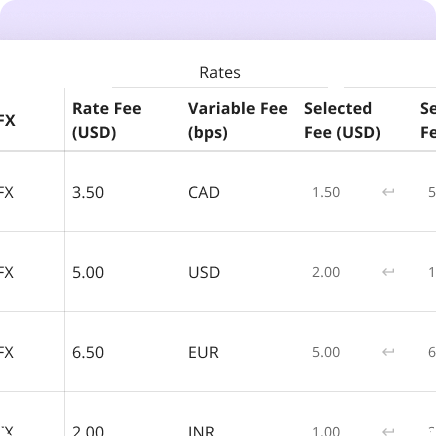 An image showing pricing across various corridors and currencies.